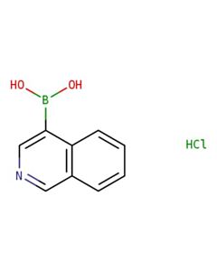 Astatech ISOQUINOLINE-4-BORONIC ACID HCL; 100G; Purity 95%; MDL-MFCD05664061